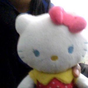 Meet your Posher, Camille